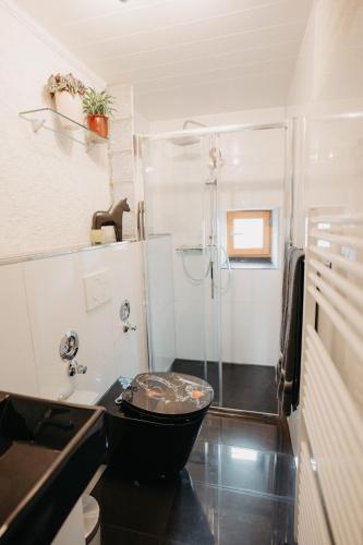 a bathroom with a shower and a toilet and a sink at Altes Häusle am Waschbach Anno 1625 Ferienwohnungen und Doppelzimmer in Edenkoben