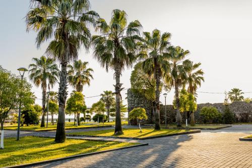 Gallery image of Palm Beach Hotel in Anaklia