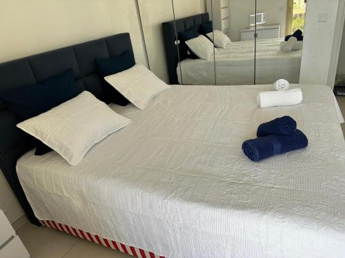 Super Apartment, Parking, Terrace, Lift, WIFI, Palm Beach, Cannes photo 10