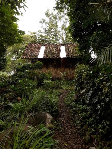 Κήπος έξω από το El Bamboo Cabins