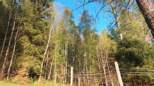 ヴィラの近くで見られる自然の景観