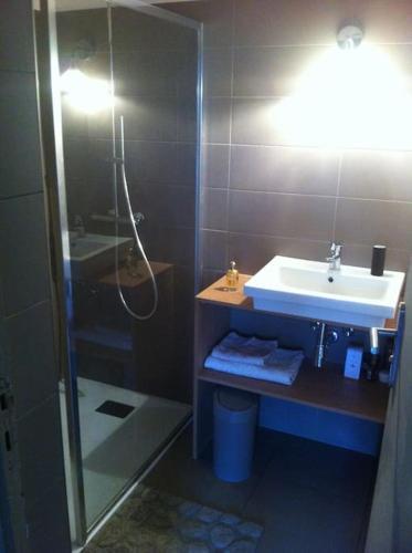 une salle de bain avec douche et lavabo dans l'établissement Villa Pieds dans l eau, à Porto-Vecchio