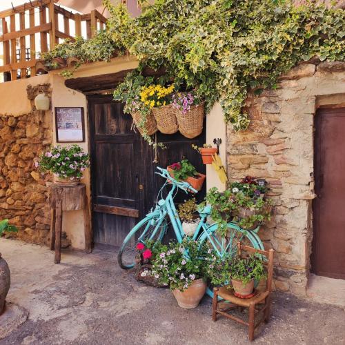 una bicicletta blu parcheggiata accanto a un edificio con fiori di Alcoba con patio del siglo XIX a Villanueva de Viver