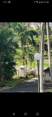 a street light next to a road with palm trees at Comfort Zone at The Ridge E17 in Ocho Rios