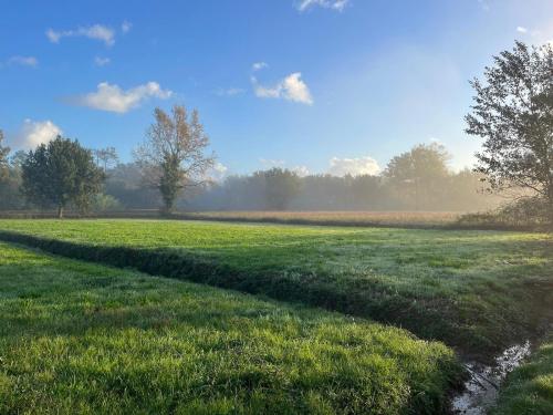 a field with green grass and trees in the background at Camera tripla Il Picchio Verde in Altopascio