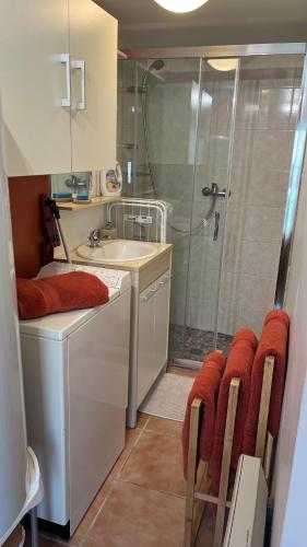 La petite salle de bains est pourvue d'une douche et d'un lavabo. dans l'établissement Maisonnette calme, à Balleroy