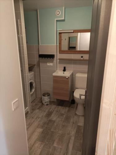 une petite salle de bain avec toilettes et lavabo dans l'établissement Appartement entre Plage et Lac refait à neuf, wifi, à Soustons