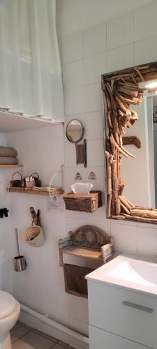 a bathroom with a sink and a toilet and a mirror at La Casanat in Montgiscard