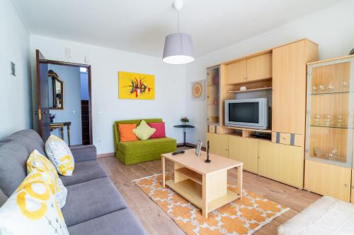 a living room with a couch and a tv at Nazare with Garden and Barbecue in Nazaré