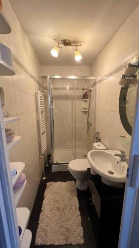 a bathroom with a shower and a toilet and a sink at Domek blisko Zamku in Malbork