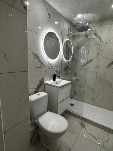 La salle de bains est pourvue de toilettes, d'un lavabo et d'un miroir. dans l'établissement Magnifique appartement Metz centre, à Metz