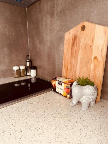 a kitchen with a counter and a table with a plant at Orfeu apartments Ksamil in Ksamil