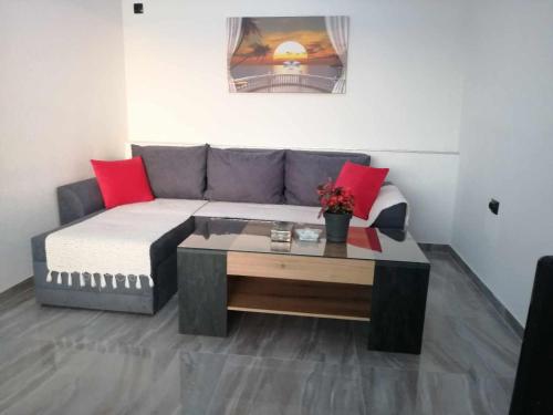 a living room with a couch and a coffee table at Apartment DULE Trpejca in Ohrid
