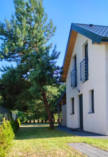 Leśne Domki na Pomorzu