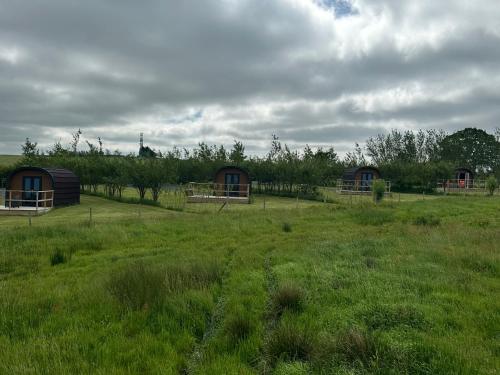 a field with houses in the middle of a field at Three Peaks Pods in High Bentham