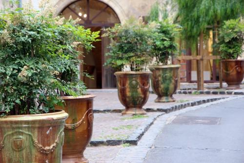 a row of large pots filled with plants on a street at Le Jardin Secret - Balnéo & SPA in Montpellier
