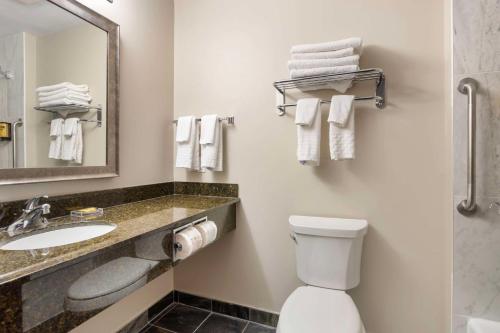 a bathroom with a toilet and a sink and a mirror at Best Western Plus Brandon Inn in Brandon