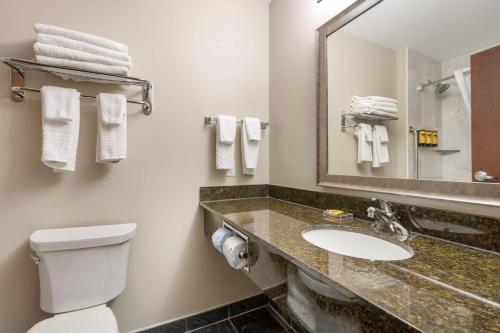 a bathroom with a toilet and a sink and a mirror at Best Western Plus Brandon Inn in Brandon