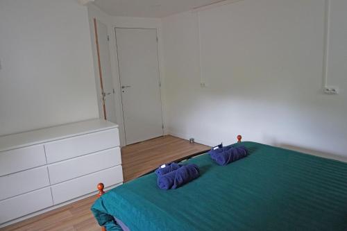 a bedroom with a green bed with blue sheets at Appartement entier 2 chambres Chez Zarius in Athis-Mons