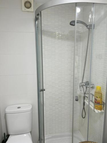 a bathroom with a shower with a toilet at Delphinhaus in Almuñécar