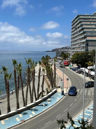 a road next to the ocean with palm trees at Delphinhaus in Almuñécar
