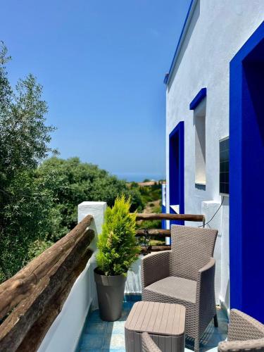 a balcony with two chairs and a potted plant at Dmina House in Asilah