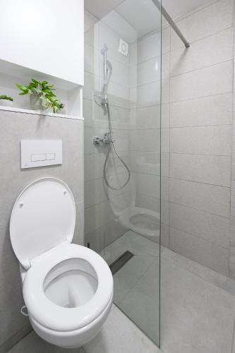 a bathroom with a toilet and a shower at Apartman North resort in Vrnjačka Banja