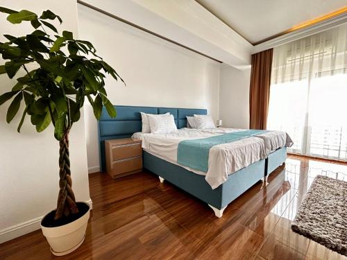 a bedroom with a blue bed and a potted plant at Luna Studio White Tower in Mamaia