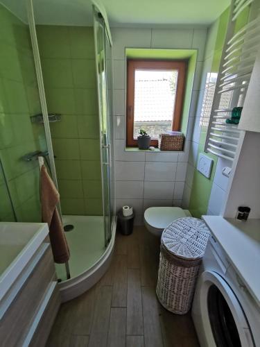 a bathroom with a shower and a washing machine at KAJZA KOLOVRAT in Mozirje