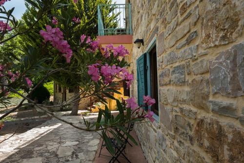 a stone building with pink flowers in front of a window at Akros Oreon, Omalos Studio in Káto Sími