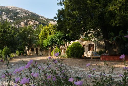 a garden with purple flowers in the foreground at Akros Oreon, Omalos Studio in Káto Sími