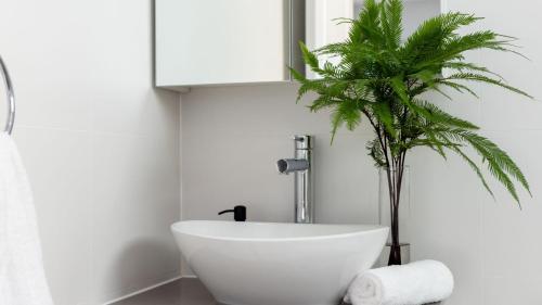 a bathroom with a white sink and a palm tree at Elliniko in Callala Beach