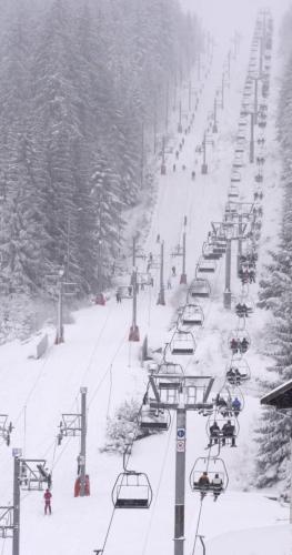 Photo de la galerie de l'établissement Beautiful apartment overlooking Lake Gerardmer !, à Gérardmer