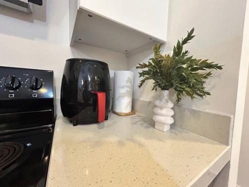 a kitchen counter with a toaster and a plant on it at Elegante condominio En Residenza Con vista al Merendon in San Pedro Sula