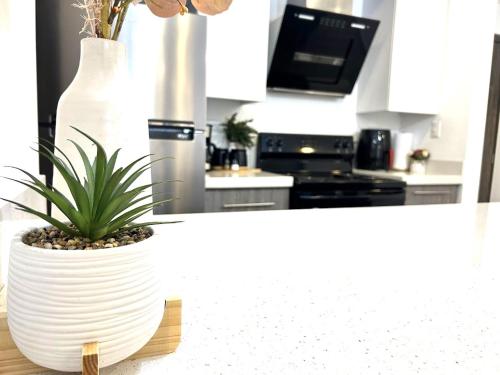 a white vase sitting on a counter in a kitchen at Elegante condominio En Residenza Con vista al Merendon in San Pedro Sula
