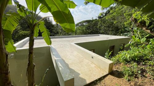 a building in the middle of a forest with a tree at Raíces, The Jungle Penthouse in Santa Marta