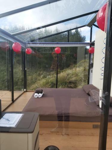 una habitación con una cama y una ventana grande en Cotopaxglam, en Latacunga