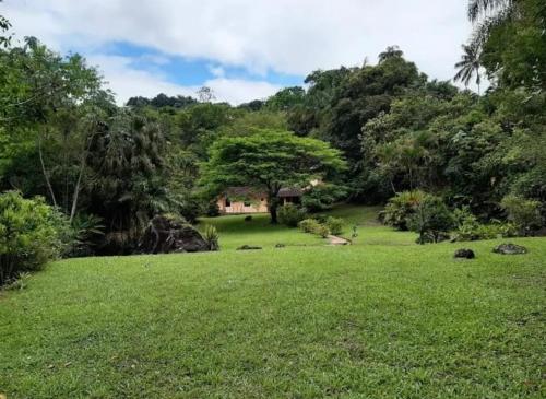 a field of green grass with a tree in the distance at Casa da Gio Penedo in Penedo