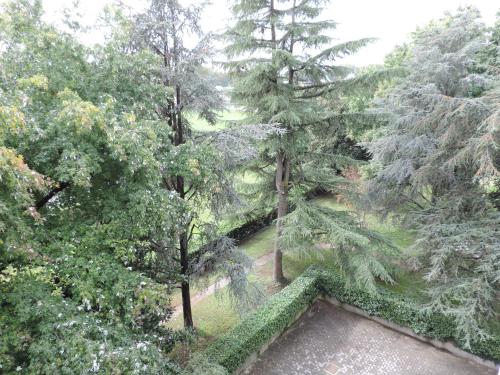 Hotel Gama – Photos 5