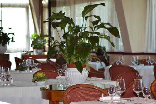 a dining room with a table with a plant in a vase at Hotel Gama in Melzo