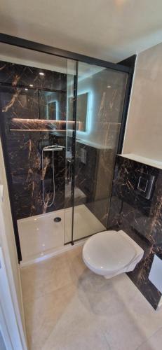 une salle de bain avec une douche en verre et des toilettes dans l'établissement Appartement a 5min de la plage, à Penta-di-Casinca