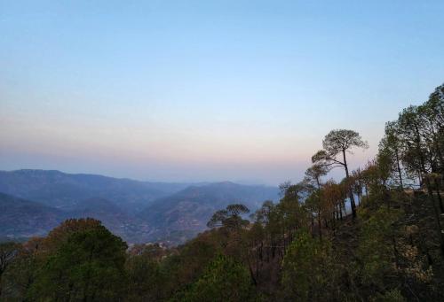 a view of a valley with trees and mountains at Wonder Hill Kasauli in Kasauli