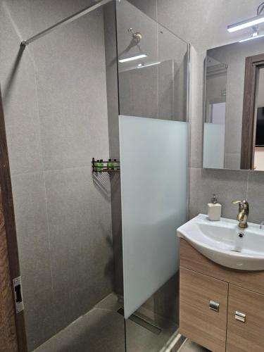 a bathroom with a shower and a sink at DATA Maisonettes and more in Chios