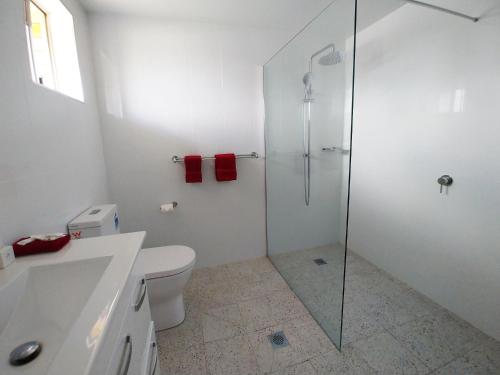 a white bathroom with a shower and a toilet at Almond Inn Motel in Tamworth
