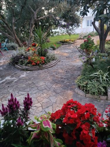 Taman di luar Apartment Bečica