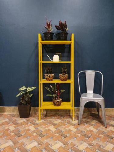 a yellow shelf with potted plants and a chair at THE S VILLAS HOTEL in Nakhon Phanom
