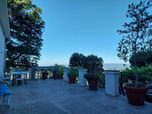 a patio with a bunch of potted plants on it at Casa Sole di Toscana con 5 camere, grande terrazza panoramica, giardino e vasca relax idromassaggio in Monterotondo