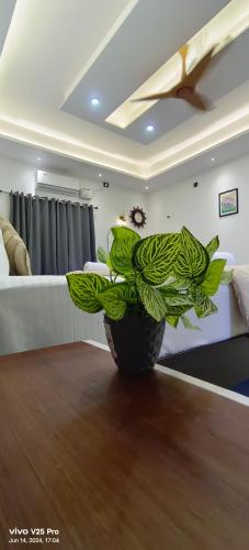 a plant sitting on top of a wooden table at Saanvi Farmhouse in Hampi