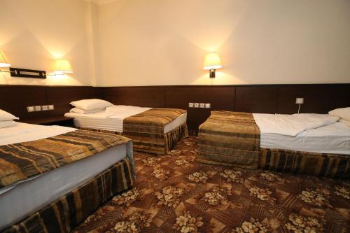 Habitación de hotel con 2 camas y 2 lámparas en Hotel & Restaurant The House, en Sofía
