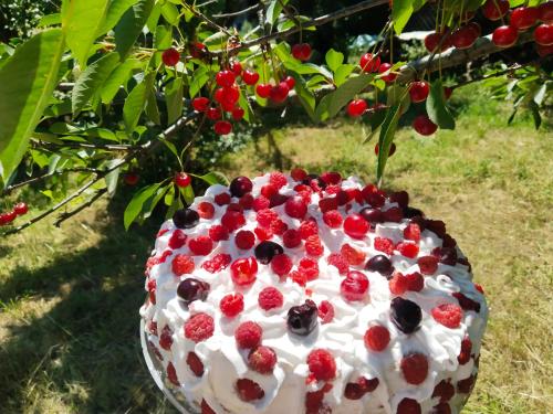 a cake with berries on it sitting in a tree at Casa Smeilor Horezu in Horezu